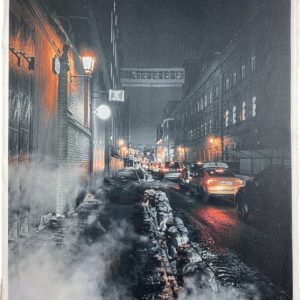 Фотография на ткани "Ночной Чикаго"