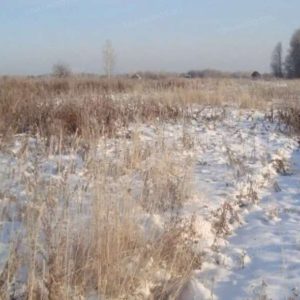 Земельный участок, площадь 1 924 кв.м. Удмуртия, Каракулинский р-н, с. Вятское